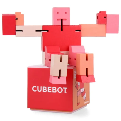 Cubebot - Small - Red Multi