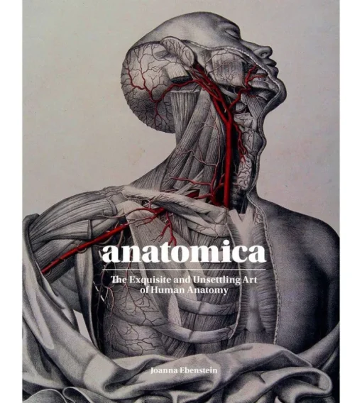 Anatomica, The Exquisite and Unsettling Art of Human Anatomy