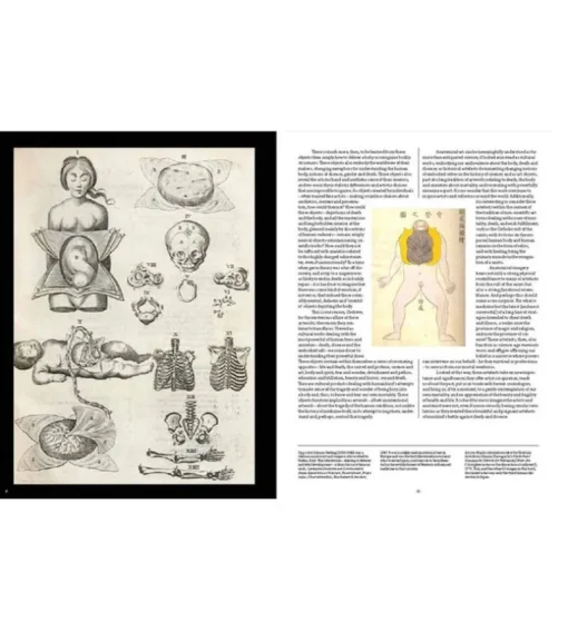 Anatomica, The Exquisite and Unsettling Art of Human Anatomy