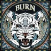 Andreas Preis - Burn Giclee Print