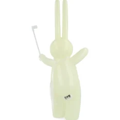 El Flasher Daily establecido por el Sr. Clement