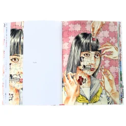 Shintaro Kago : Artbooks Box Set (Vol 1+2)
