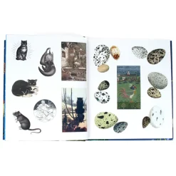 The Sticker Treasury of the Mystical and Esoteric